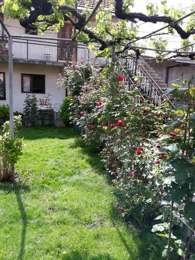 Apartment Dejan Cetinje Exterior foto